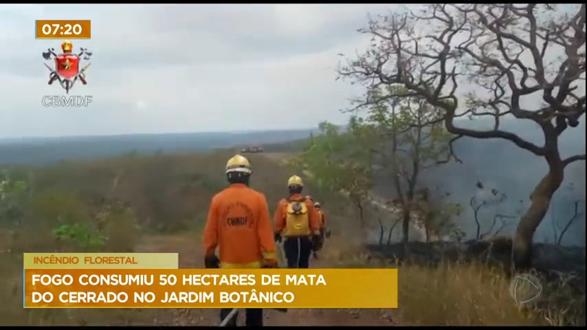 Vídeo: Incêndio atinge 50 hectares de mata do cerrado no Jardim Botânico