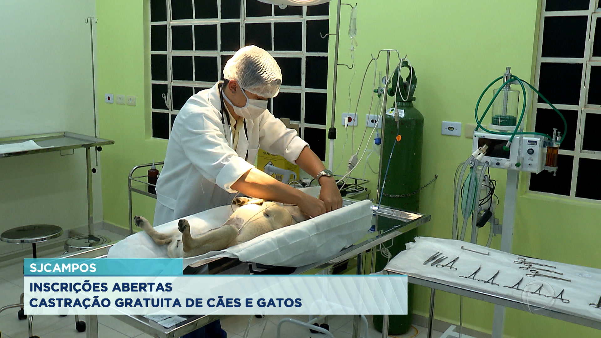 Vídeo: Inscrições abertas para castração de Pets em São José