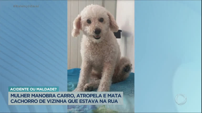 Vídeo: Mulher atropela cachorro de vizinha no ABC Paulista