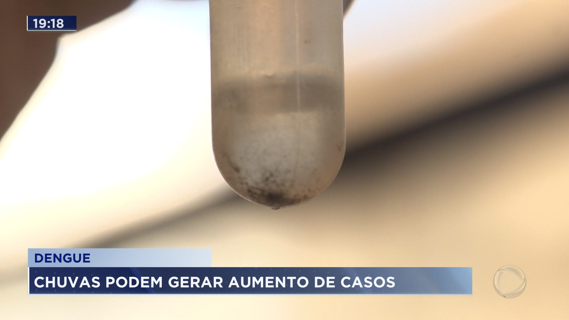 Vídeo: Chuva favorece criadouros do mosquito que transmite a dengue