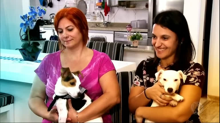 Vídeo: Plantão Pet: Julinho Casares ajuda tutoras a identificar cachorra bagunceira