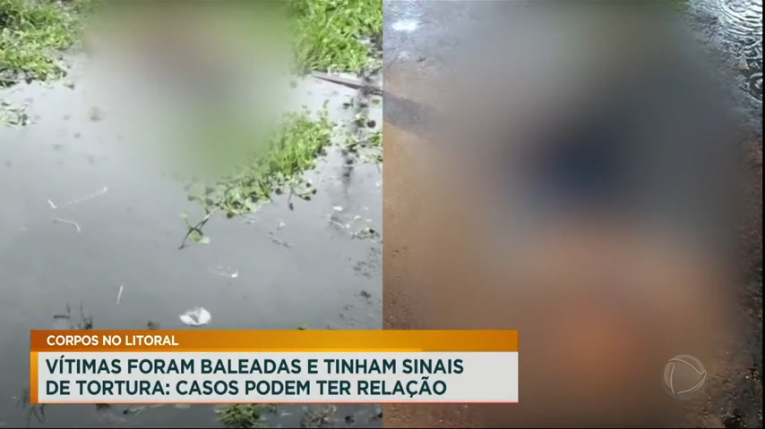 Vídeo: Homens são encontrados mortos e com sinais de tortura no litoral de São Paulo