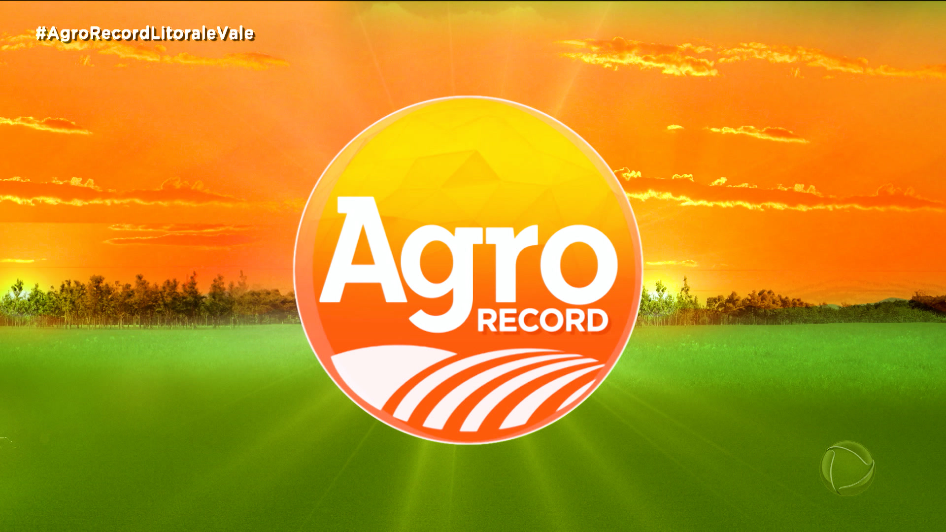 Vídeo: AGRO RECORD: Veja as últimas notícias do segmento
