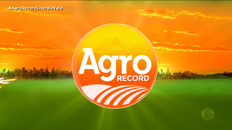 Vídeo: AGRO RECORD: Fique atualizado sobre as notícias do Agronegócio