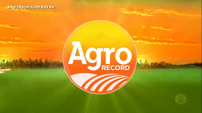 Vídeo: AGRORECORD: Veja as últimas notícias do mundo da Agropecuária