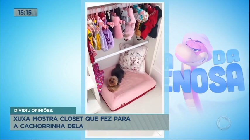 Vídeo: Xuxa divide opiniões ao mostrar closet que fez para cachorrinha