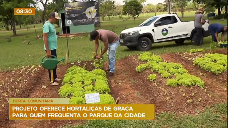 Vídeo: Projeto oferece hortaliças de graça para quem frequenta o Parque da Cidade