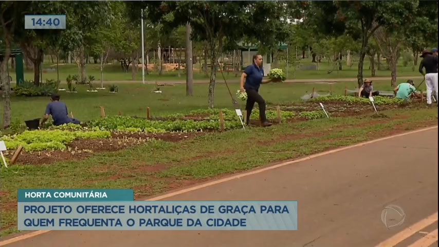 Vídeo: Projeto no Parque da Cidade oferece hortaliças gratuitas