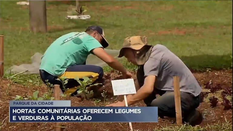 Vídeo: Hortas comunitárias oferecem legumes e verduras à população