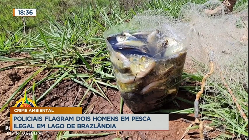 Vídeo: Policiais flagram homens em pesca ilegal em lago de Brazlândia