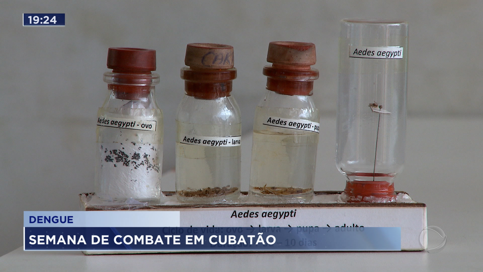 Vídeo: Semana alerta para o combate à dengue em Cubatão