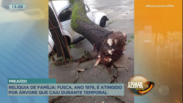 Vídeo: Árvore cai e atinge carro considerado relíquia por família de BH