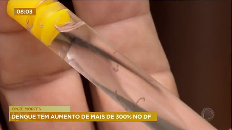Vídeo: Dengue tem aumento de mais de 300% no DF
