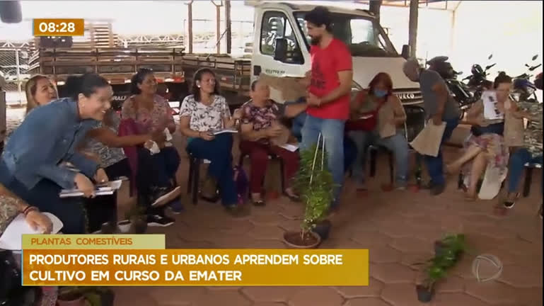 Vídeo: Produtores rurais e urbanos aprendem sobre cultivo de plantas comestíveis