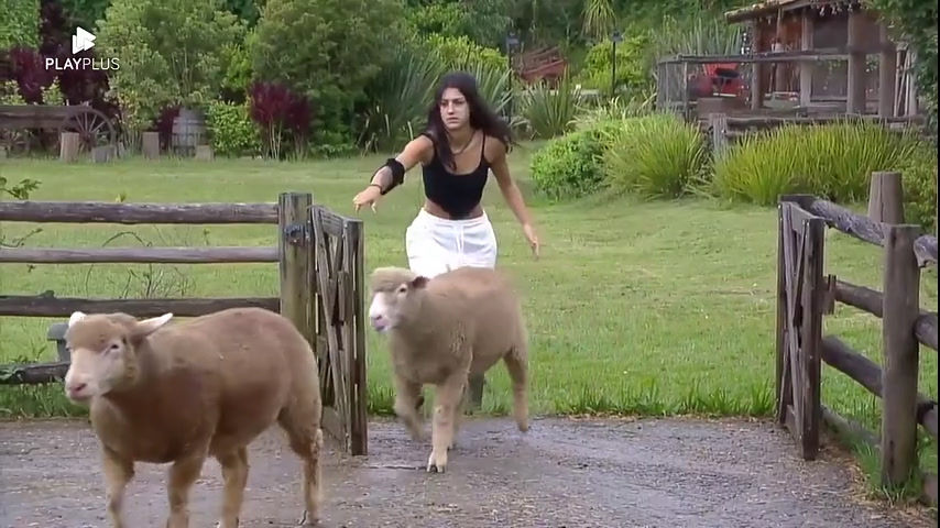 Vídeo: Bia se espanta ao ver as ovelhas soltas | A Fazenda 14