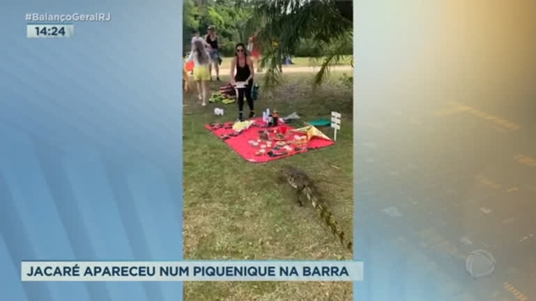 Vídeo: Jacaré surge durante piquenique no Bosque da Barra