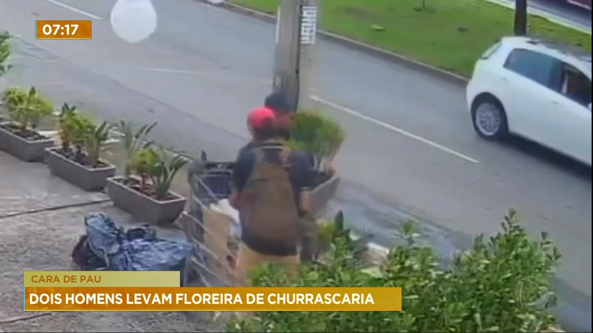 Vídeo: Vídeo: homens furtam planta de churrascaria em Águas Claras (DF)