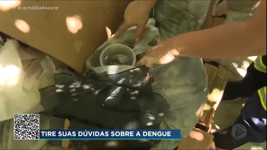 Casos graves e fatais da dengue colocam estados brasileiros em alerta