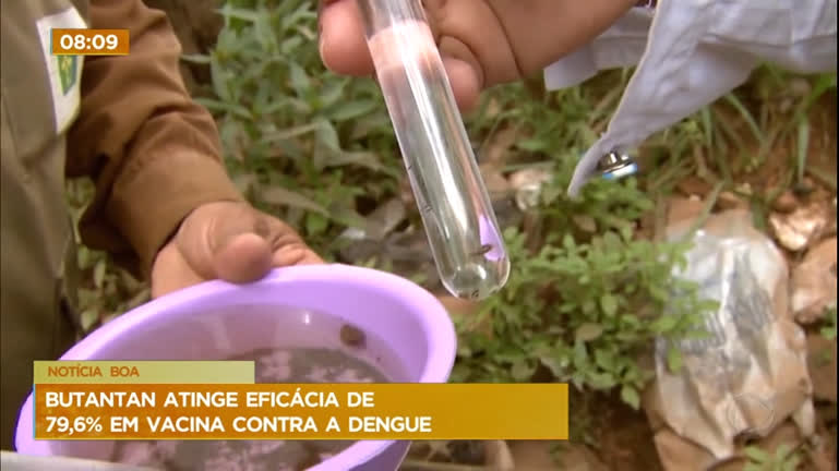 Vídeo: Vacina contra a dengue do Butantan atinge eficácia de 79,6%