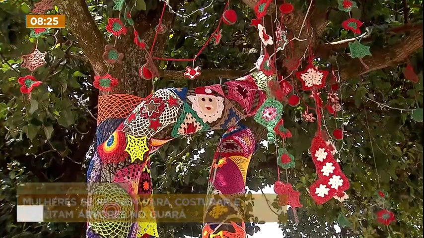 Vídeo: Mulheres se reúnem para costurar e enfeitar árvores com crochê no Guará (DF)