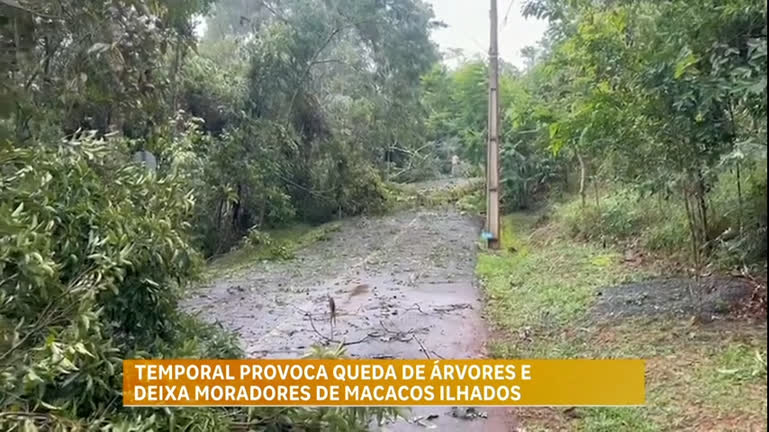 Vídeo: Temporal provoca queda de árvores e deixa moradores ilhados na Grande BH