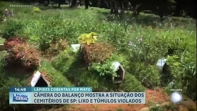 Vídeo: Câmera do Balanço mostra descaso em cemitérios de São Paulo