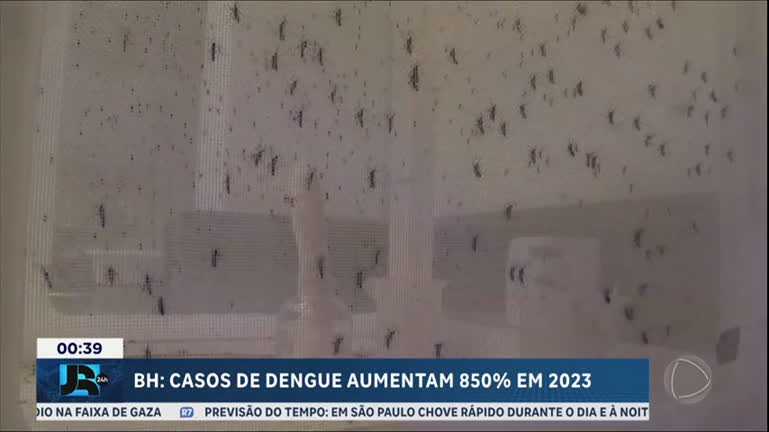 Vídeo: Casos de dengue em Belo Horizonte (MG) aumentam 850% em 2023