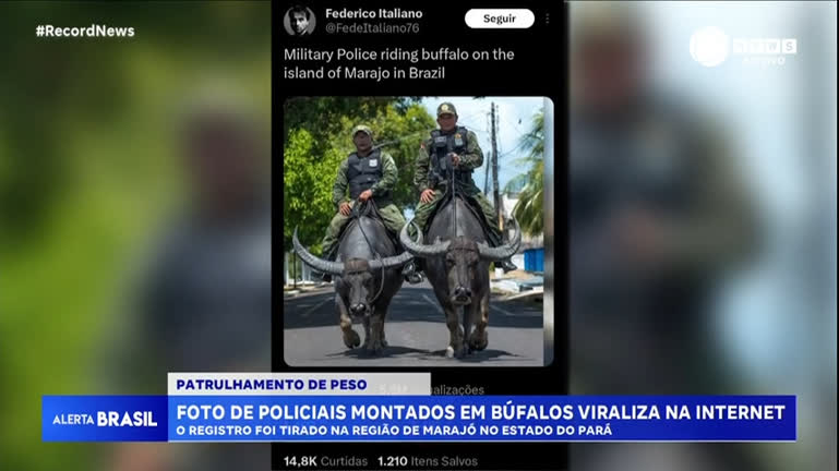 Vídeo: Foto de policiais montados em búfalos na ilha de Marajó viraliza na internet