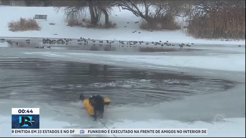 Bombeiro arrisca a vida para resgatar cãozinho em lago parcialmente congelado – JR 24H