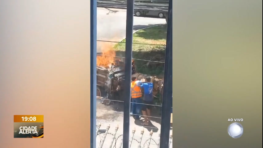 Vídeo: Vídeo: carroça pega fogo e cavalo fica ferido na Asa Norte (DF)