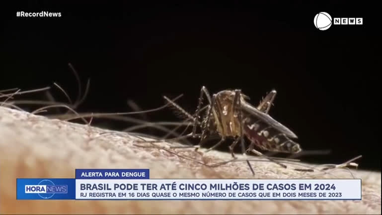 Vídeo: Brasil pode ter até 5 milhões de casos de dengue em 2024