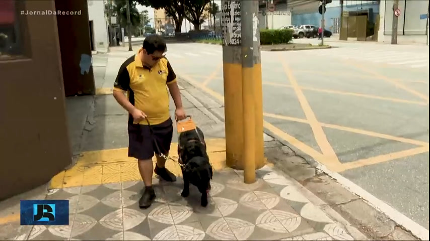 Vídeo: Mais de mil brasileiros com deficiência visual aguardam para receber doação de cão-guia