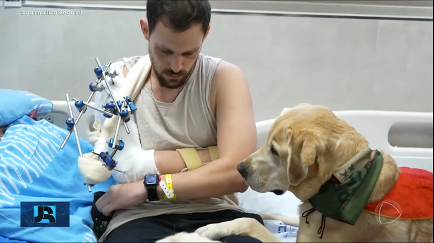 Vídeo: Cães ajudam na recuperação de soldados israelenses feridos em combate