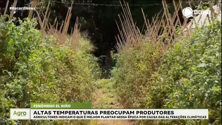 Vídeo: El Niño: altas temperaturas prejudicam produtores rurais