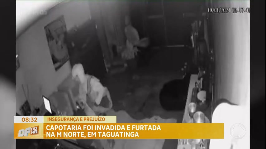 Vídeo: Capotaria é invadida e furtada em Taguatinga (DF)