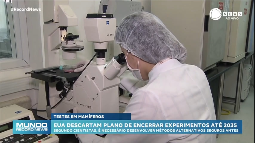 Vídeo: EUA voltam atrás em plano de encerrar o uso de mamíferos em testes químicos até 2035