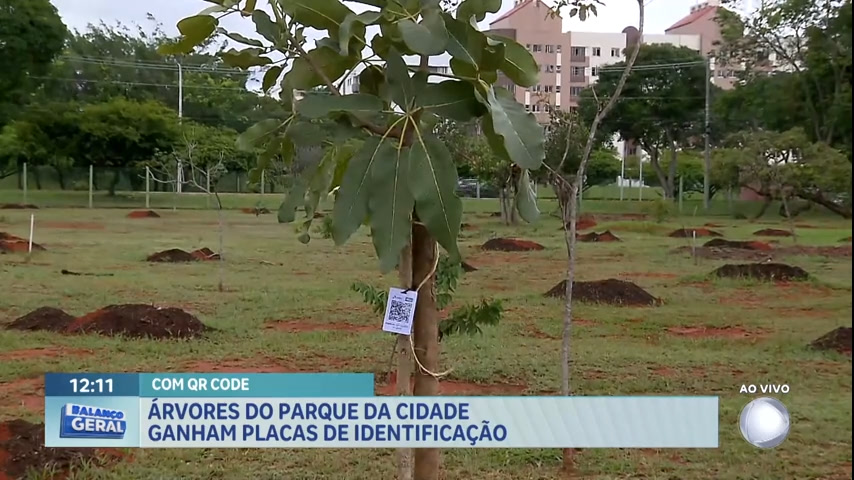 Vídeo: Árvores do Parque da Cidade ganham placas de identificação