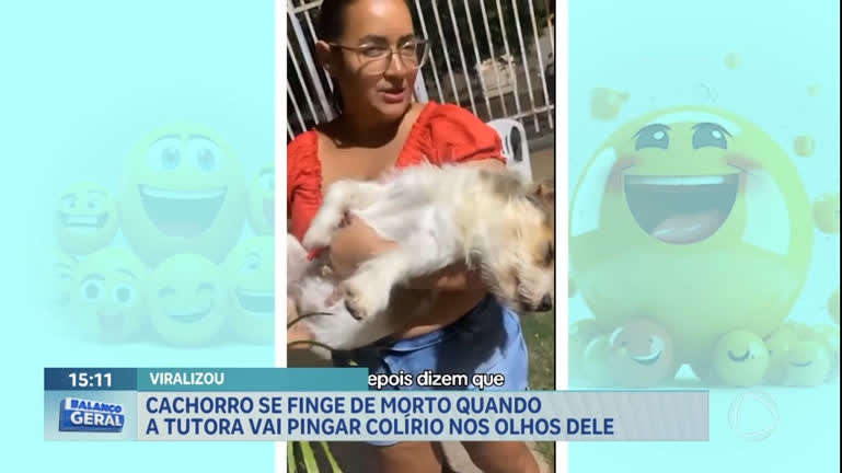 Vídeo: Cãozinho finge desmaio para não ter que passar colírio nos olhos