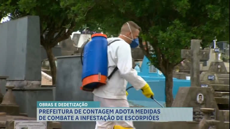 Vídeo: Prefeitura começa trabalho de dedetização e obras em cemitério infestado, em Contagem (MG)