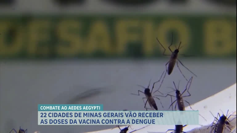Vídeo: Ministério da Saúde vai distribuir vacina contra dengue em 22 municípios de MG
