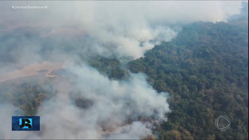 Vídeo: Pantanal sofre com queimadas durante seca incomum em janeiro