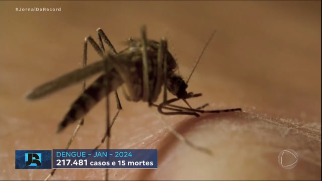 Vídeo: Brasil registra quase 220 mil casos de dengue em janeiro e vive preocupação com escalada da doença