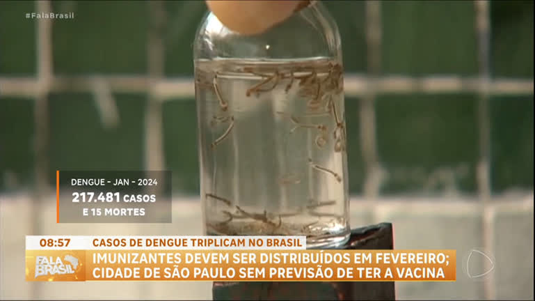 Vídeo: Brasil registra 220 mil casos de dengue em janeiro