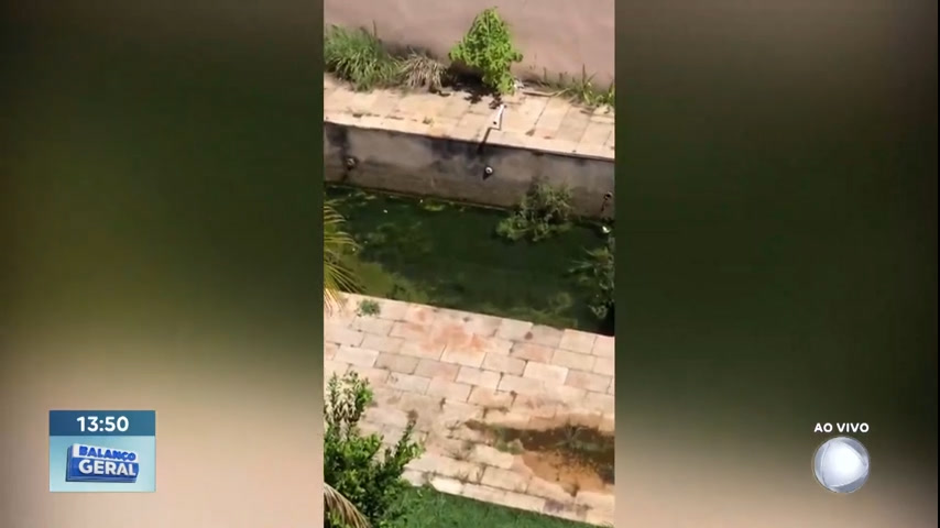 Vídeo: Vizinhos flagram piscina abandonada e pedem medidas contra à dengue