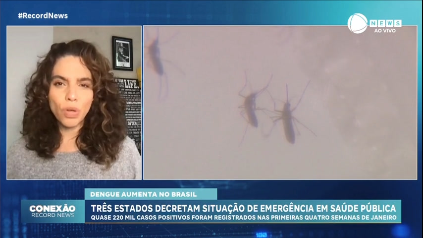 Vídeo: Brasil tem quatro tipos de dengue em circulação; entenda quais são