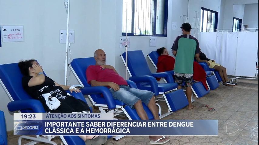 Vídeo: Especialista explica diferença entre dengue clássica e hemorrágica