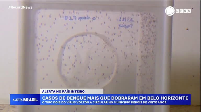 Vídeo: Em uma semana, casos de dengue mais do que dobraram em Belo Horizonte