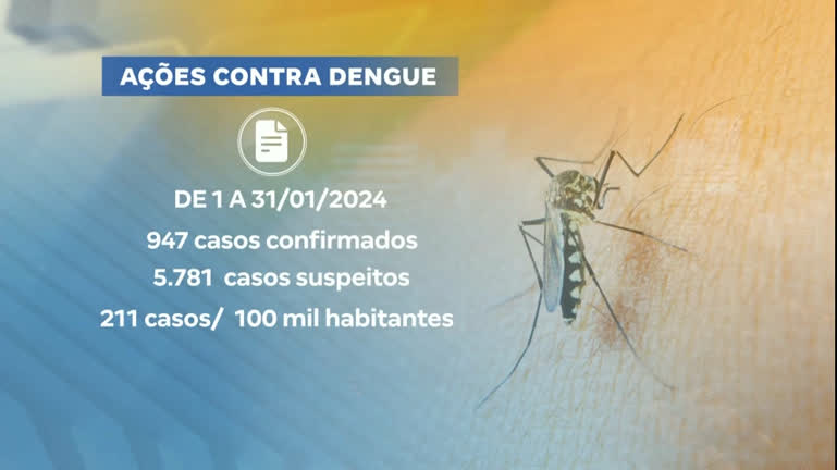 Vídeo: Quase mil casos de dengue já foram confirmados no primeiro mês de 2024, em BH