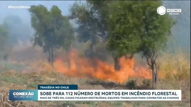 Vídeo: 'Pior tragédia do país', diz presidente do Chile sobre incêndios florestais
