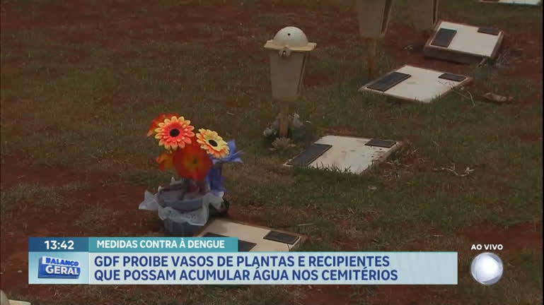 Vídeo: GDF proíbe vasos de plantas que possam acumular água nos cemitérios